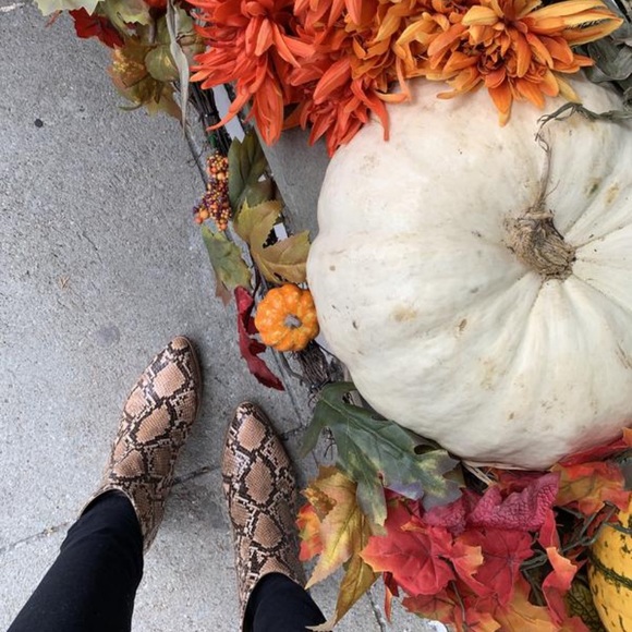 New Steve Madden Julianne snake block booties 8.5 fall animal print heel booties - Picture 2 of 8
